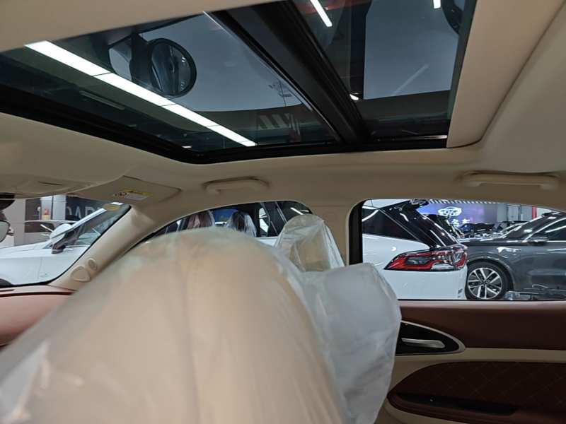 Used ORA Good Cat 2025 Model, 430 km Prestige Version — 17