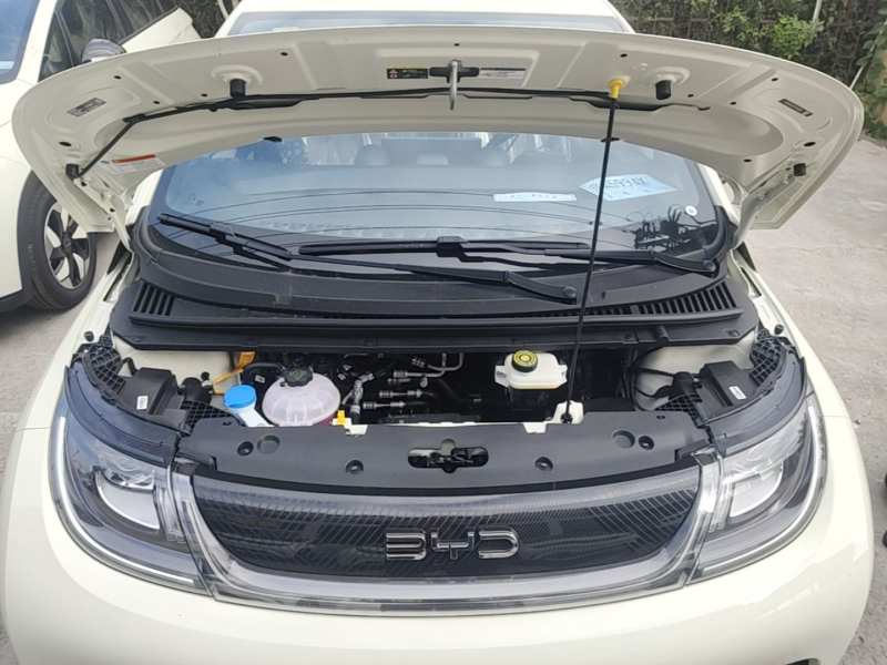 Used BYD Dolphin 2025 420km Free Edition — 19