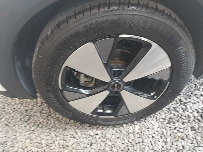 Used BYD Dolphin 2023 420 km Fashion Edition — 25