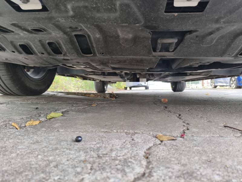 Used CHANGAN Eado 2023 Changan Edition PLUS Blue Whale NE 1.4T GDI DCT Prestige Version — 23