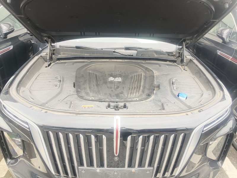 Used Hongqi E-HS9 2021 460 km Range Flagship Edition Six-Seater — 19
