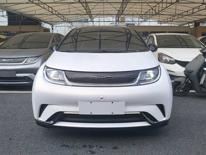 Used BYD Dolphin 2023 420 km Fashion Edition — 2