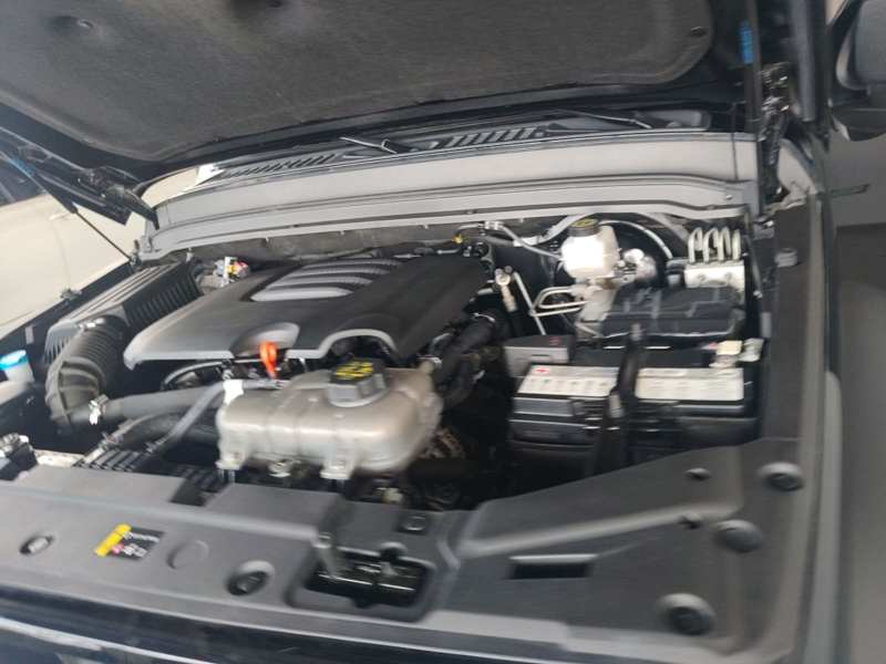 Used Tank 300 2024 2.0T Conqueror — 19
