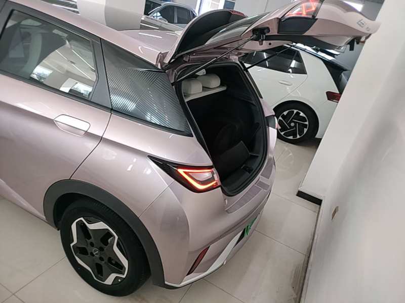 Used BYD Dolphin 2021 405 km Fashion Edition — 18