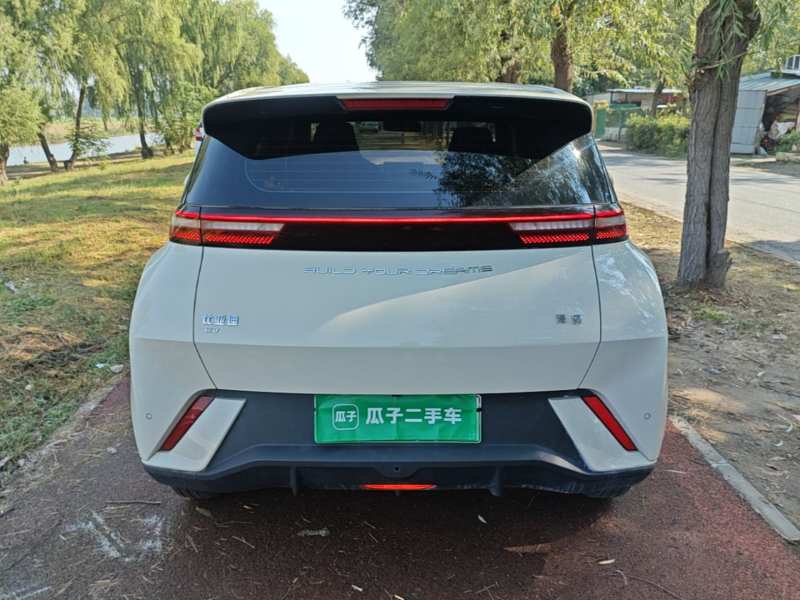 Used BYD Seagull 2024 Honor Edition 305km Dynamic Version — 5