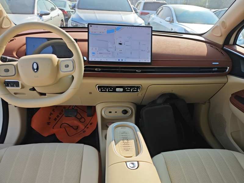 Used ORA Good Cat 2025 Model, 430 km Luxury Version — 12