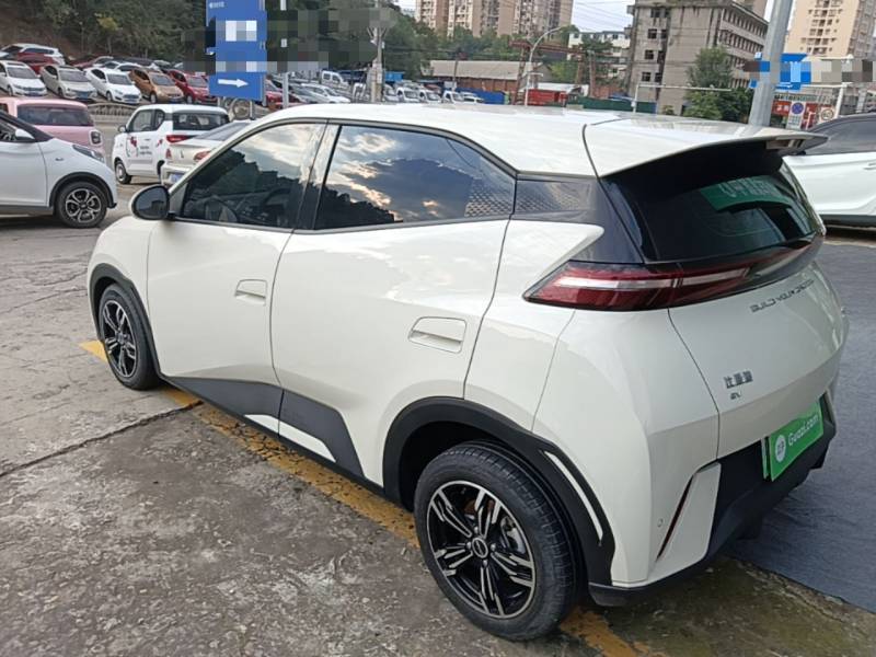 Used BYD Seagull 2024 Honor Edition 305km Dynamic Version — 4