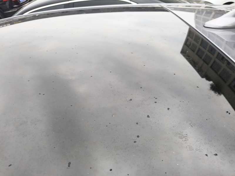 Used BYD Dolphin 2021 401km Knight Edition — 26