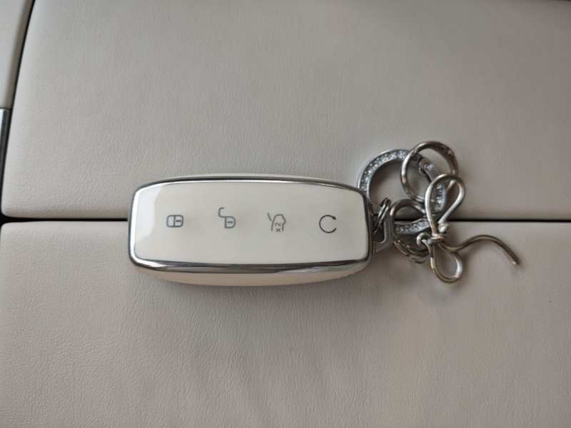 Used Denza D9 2024 DM-i 1050 Luxury Model — 8
