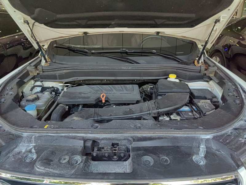 Used Haval H6 2020 1.5 GDIT Automatic Platinum Luxury Edition — 19
