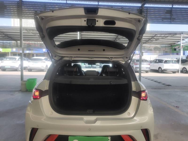 Used BYD Dolphin 2021 405 km Free Version — 18