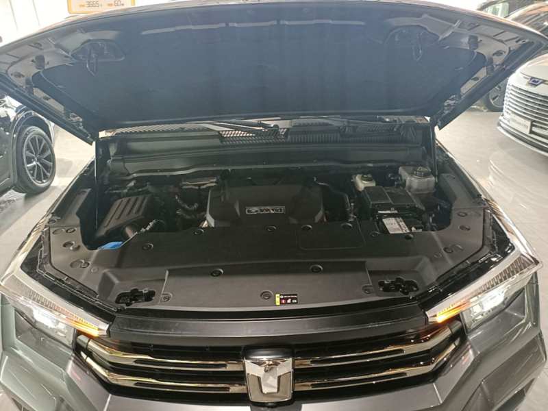 Used Tank 400 New Energy 2023 Hi4-T Super Edition — 19
