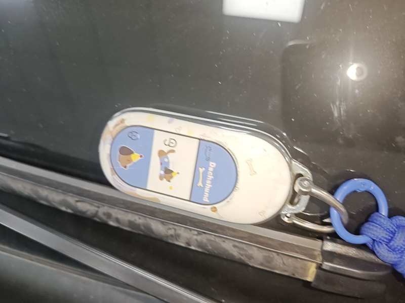 Used Leapmotor C11 2023 Range-Extended 300 Smart Enjoyment Edition — 8
