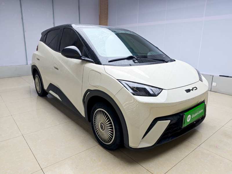 Used BYD Seagull 2024 Honor Edition 305km Dynamic Version — 3
