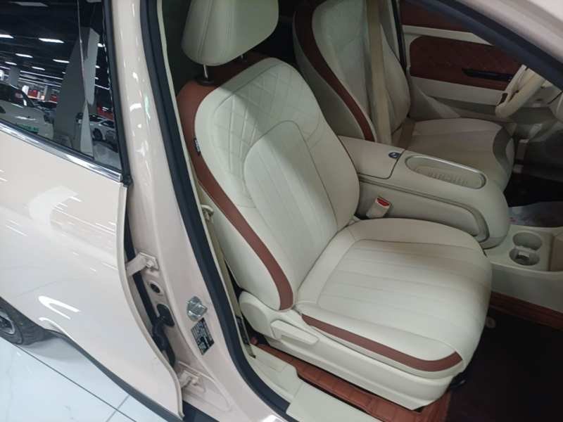 Used ORA Good Cat 2024 401 km Luxury Version — 17