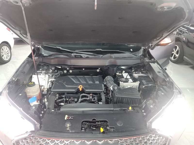 Used Haval H6 2021 3rd Generation 1.5T Automatic Two-Wheel Drive Max — 19