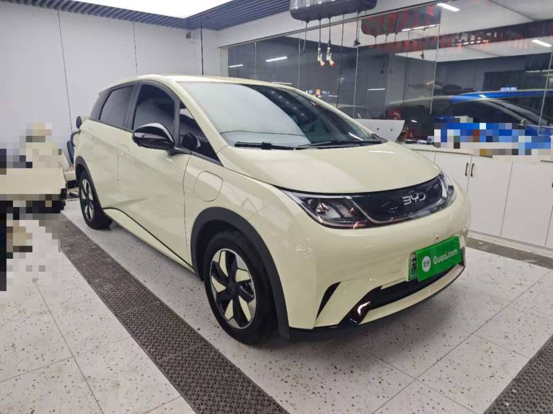 Used BYD Dolphin 2025 420km Free Edition — 3