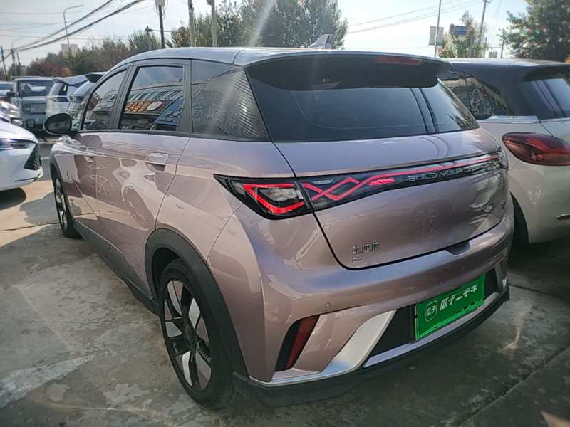 Used BYD Dolphin 2021 401km Knight Edition — 4