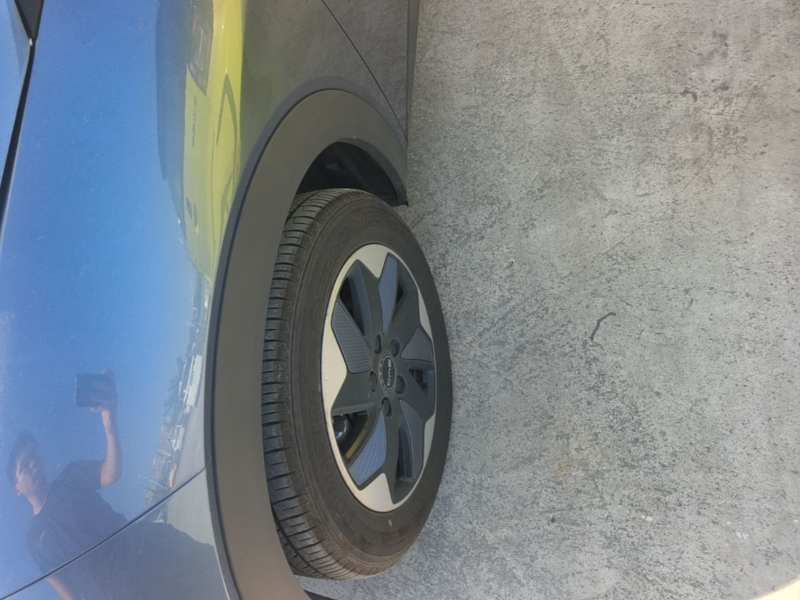 Used BYD Dolphin 2025 420km Free Edition — 22