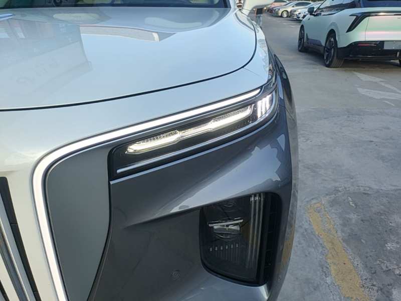 Used Hongqi E-HS9 2021 510 km Flagship Edition Four Seats — 23