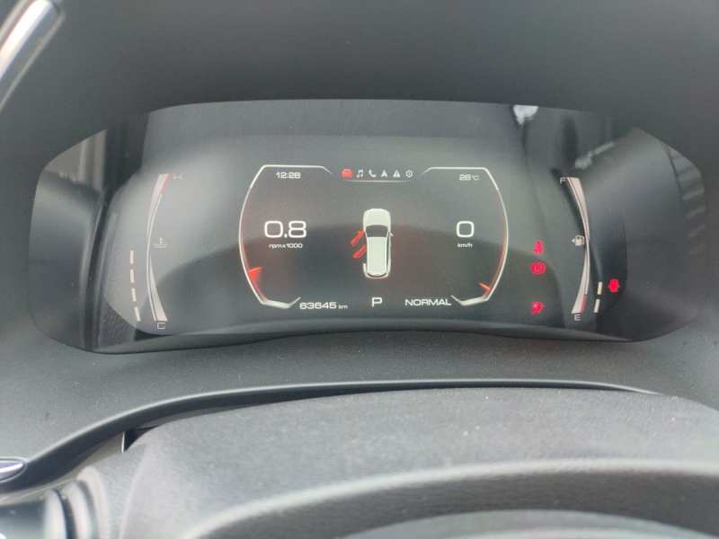 Used Haval H6 2021 National Trend Edition 1.5T Automatic Champion Version — 8