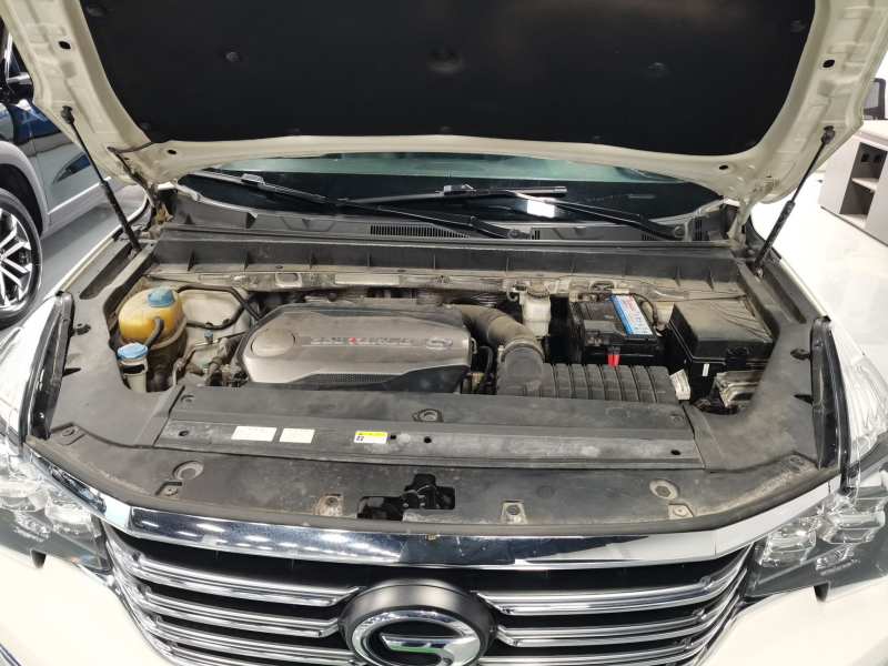 Used GAC Trumpchi GS8 2017 320T Two-Wheel Drive Luxury Smart Connectivity Version (7 Seats) — 19