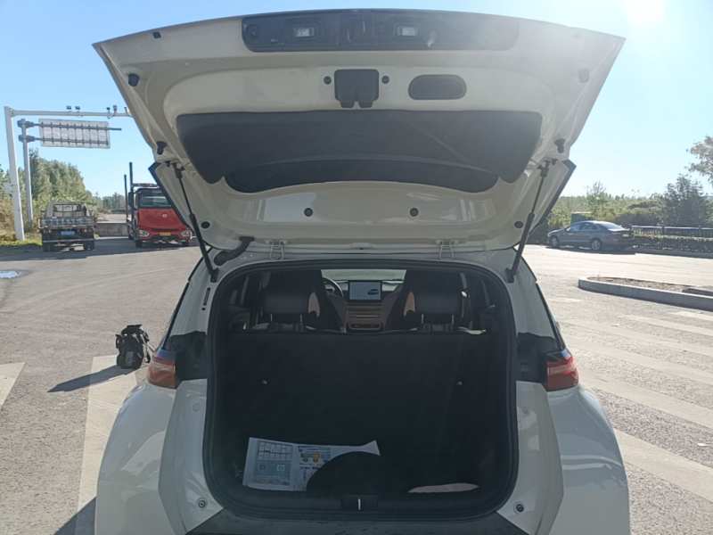 Used BYD Seagull 2025 305 km Free Version — 18