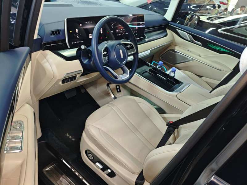 Used Wey Gaoshan 2023 Four-Wheel-Drive Executive Extended Version — 15