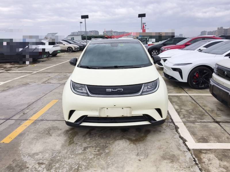 Used BYD Dolphin 2021 405 km Fashion Edition — 2