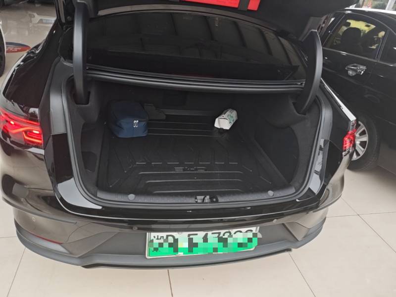 Used BYD Han 2023 DM-p War God Edition — 18