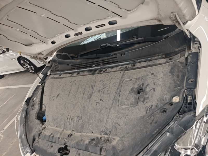 Used NETA V 2022 Chao 400 Lite — 19