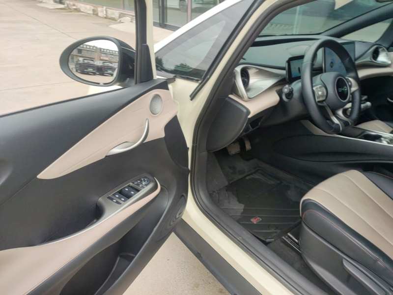 Used BYD Dolphin 2024 Honor Edition 302km Dynamic Version — 15