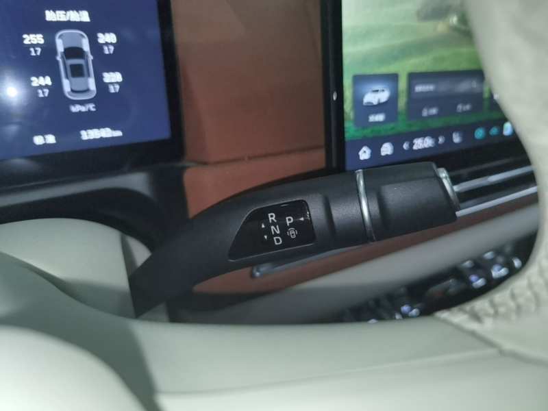 Used ORA Good Cat 2025 Model, 430 km Prestige Version — 14