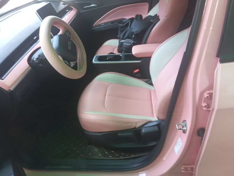 Used NETA V 2022 Chao 400 Lite Pink Custom Edition — 14