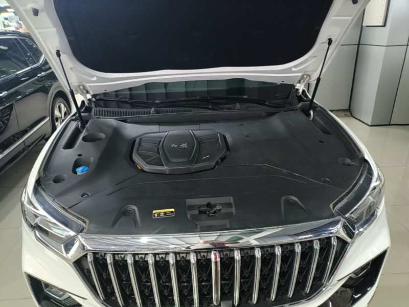 Used Hongqi HS5 2022 Facelifted Version 2.0T Smart Connect Flagship All-Wheel-Drive Edition — 19