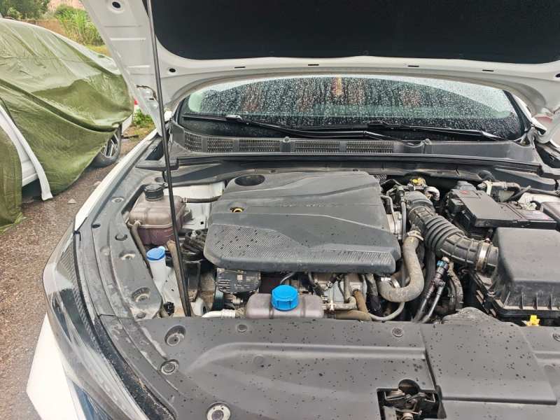 Used CHANGAN Eado 2024 PLUS Blue Whale NE 1.4T GDI DCT High-Energy Edition — 22