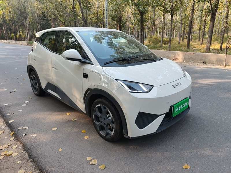 Used BYD Seagull 2025 Smart Drive Version 305 km Freedom Edition — 3