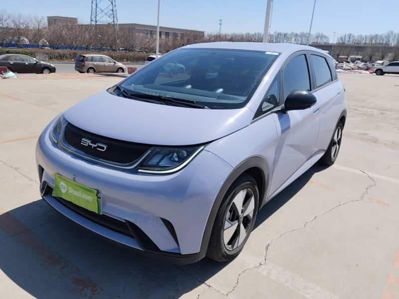 Used BYD Dolphin 2023 420 km Free Version