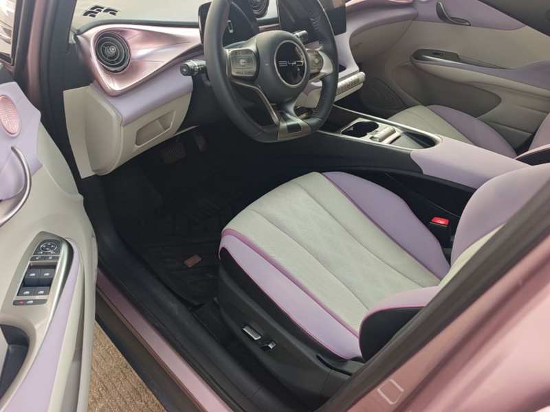 Used BYD Dolphin 2023 420 km Free Version — 15
