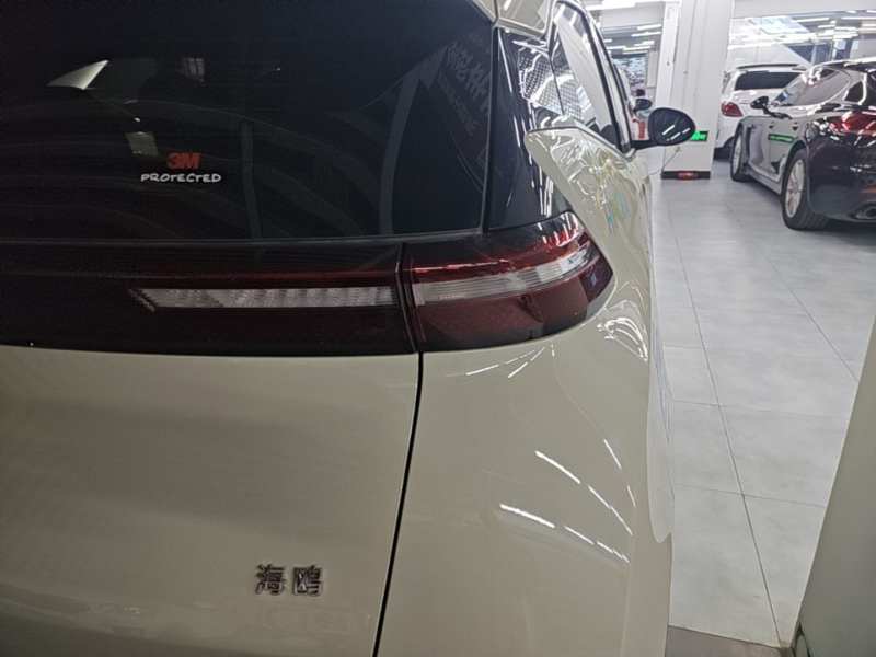 Used BYD Seagull 2025 305 km Free Version — 7