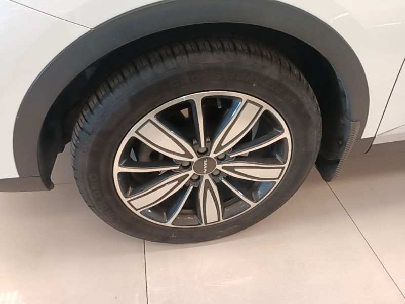 Used Haval H6 2021 1.5T Automatic Champion Edition — 22