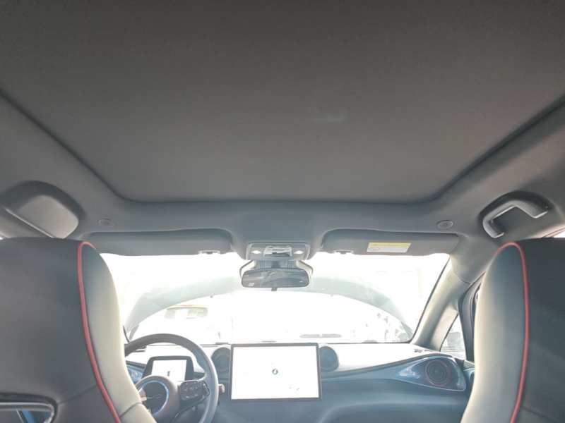 Used BYD Dolphin 2021 401km Knight Edition — 17