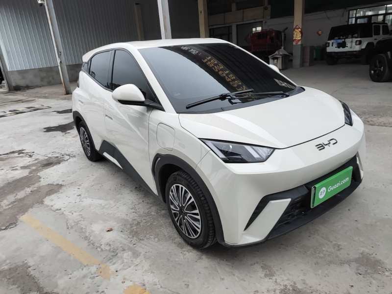 Used BYD Seagull 2024 Honor Edition 305km Dynamic Version — 3