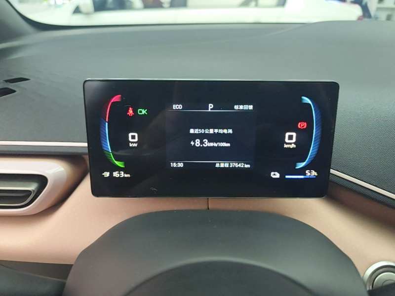 Used BYD Seagull 2023 Active Version — 11