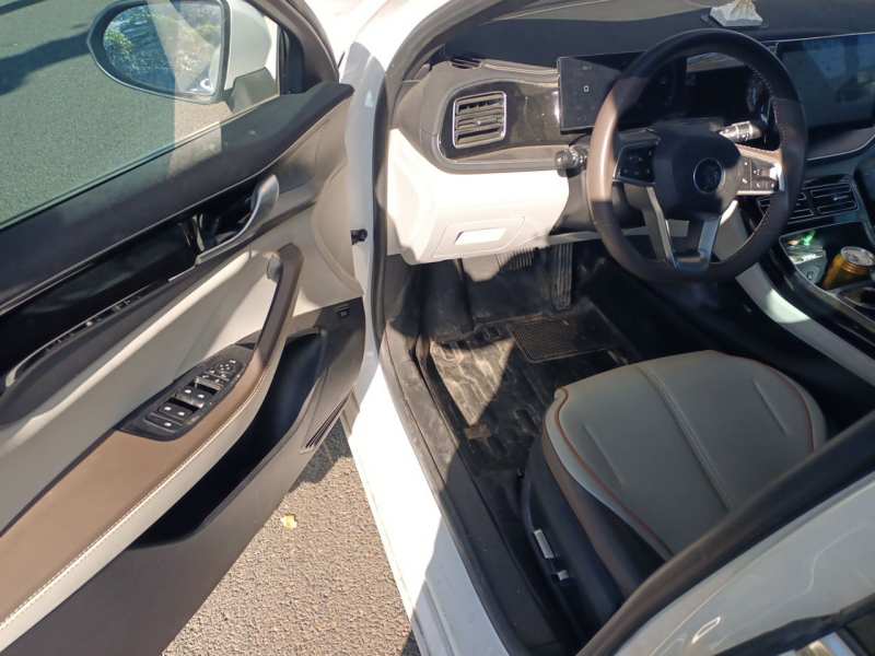 Used BYD Qin PLUS 2023 Champion Edition DM-i 55KM Superior Model — 17
