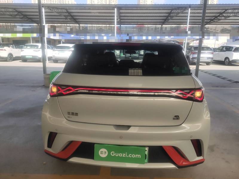 Used BYD Dolphin 2021 405 km Free Version — 5