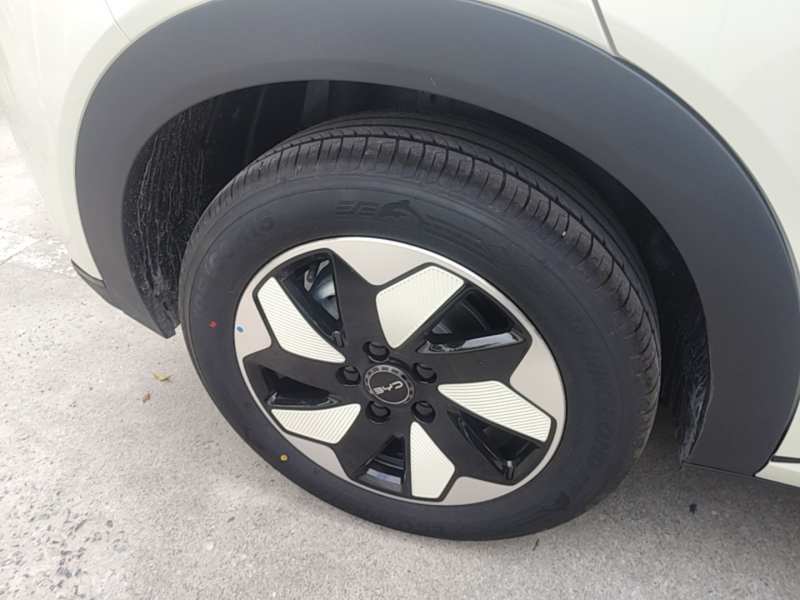 Used BYD Dolphin 2025 420km Free Edition — 25