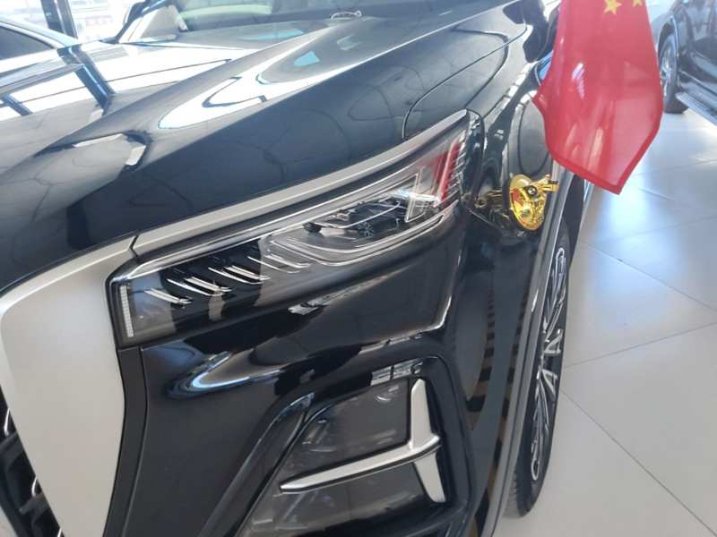 Used Hongqi HS5 2023 2.0T Four-Wheel Drive Flagship Pro Edition – Chinese Trim Xiang — 23