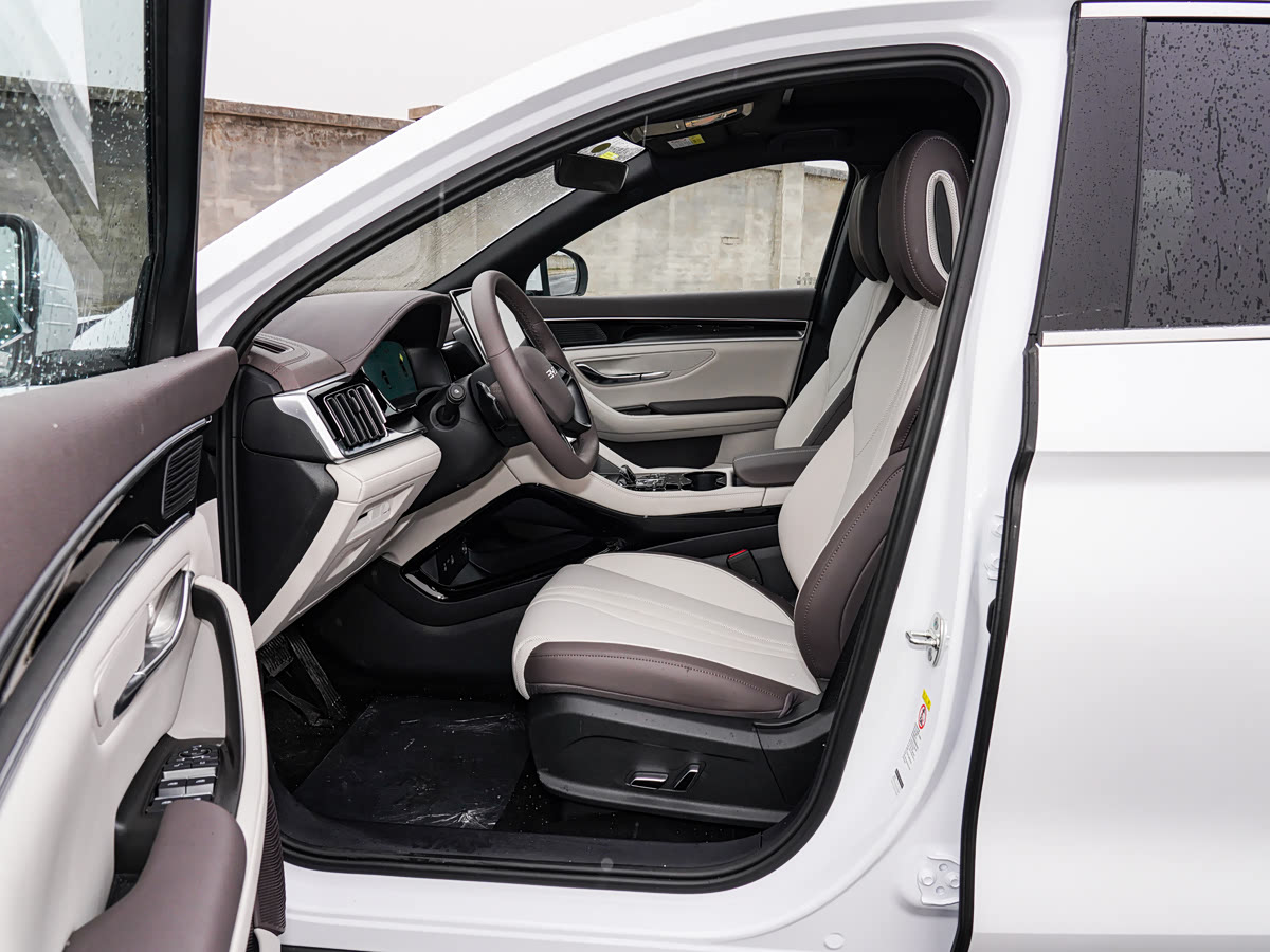 BYD Song PLUS EV Smart Drive 520KM Luxury — 7