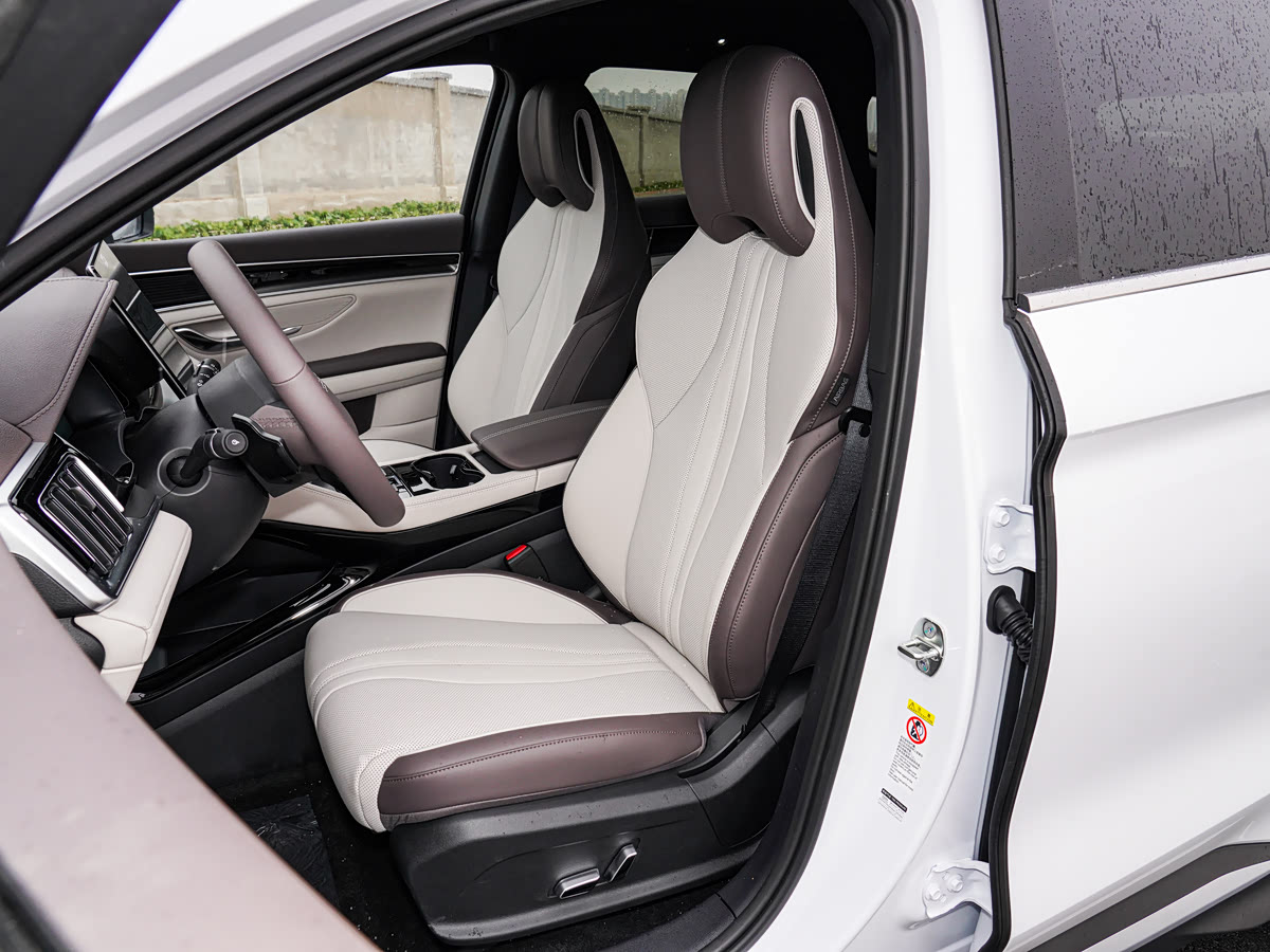 BYD Song PLUS EV Smart Drive 520KM Luxury — 8